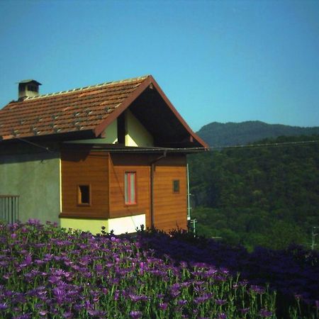 B&B Cip E Ciop Miazzina Dış mekan fotoğraf