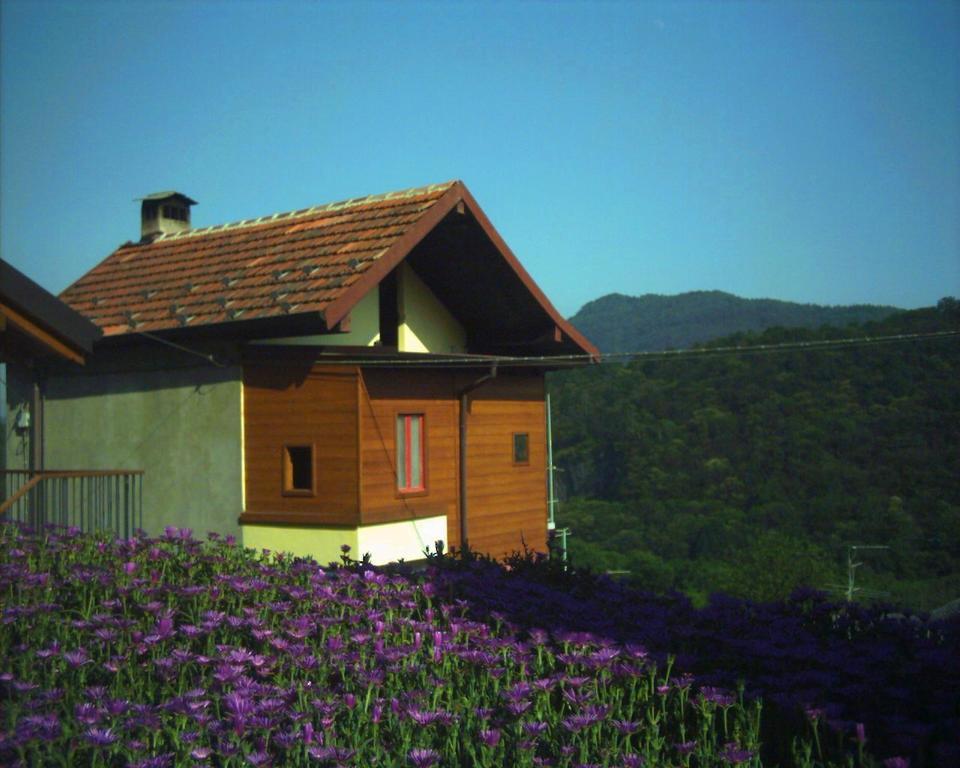 B&B Cip E Ciop Miazzina Dış mekan fotoğraf