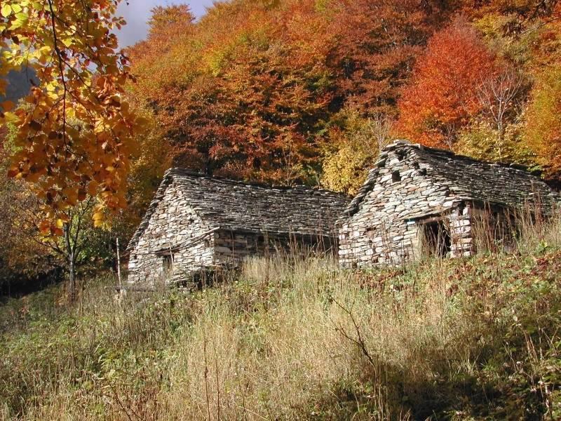 B&B Cip E Ciop Miazzina Dış mekan fotoğraf