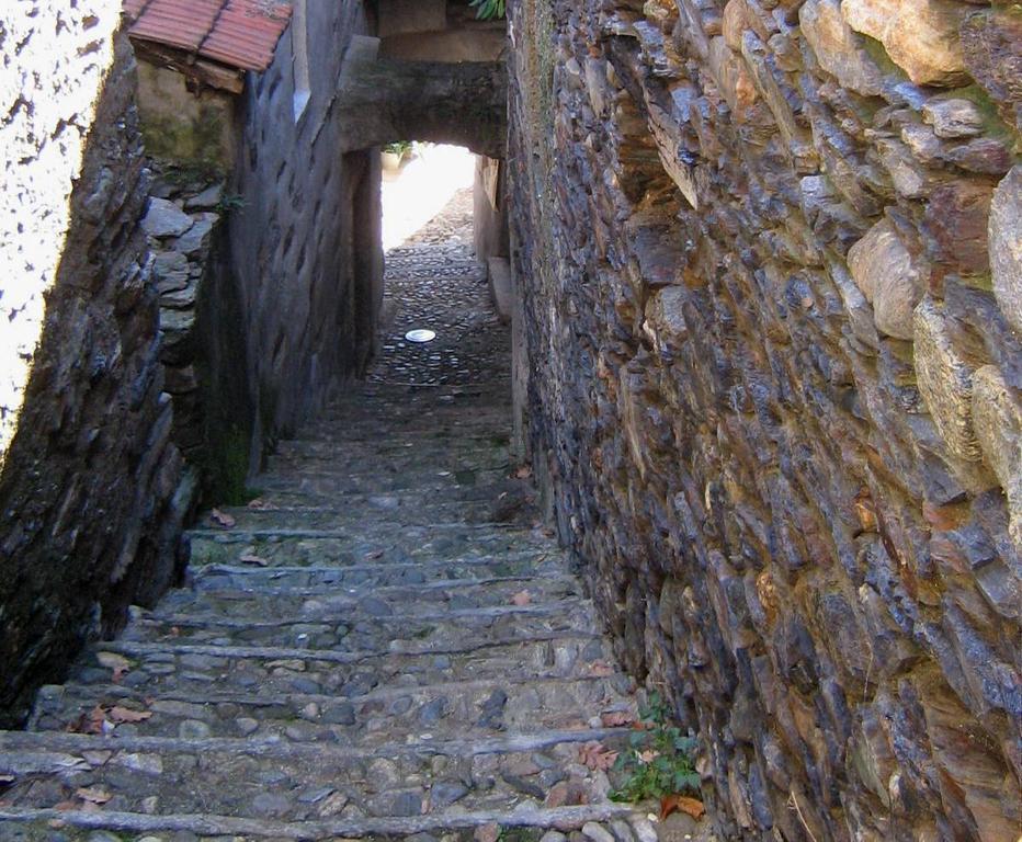 B&B Cip E Ciop Miazzina Dış mekan fotoğraf
